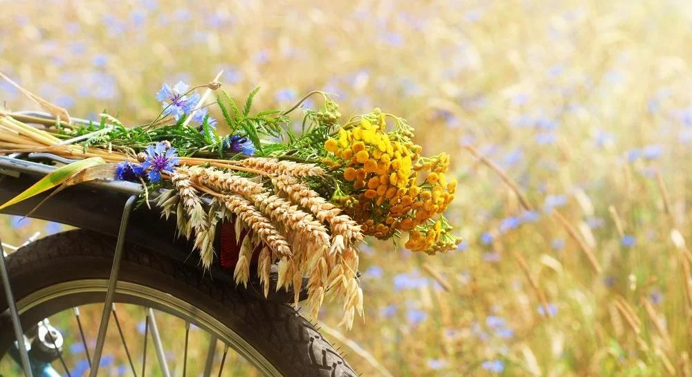 Не варто ходити до лісу: яке сьогодні свято та заборони дня