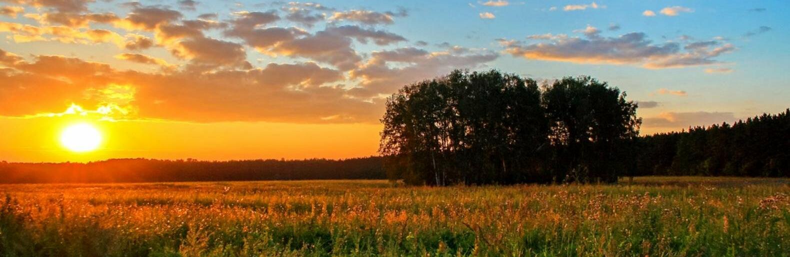Прогноз погоди на липень: яким буде екватор літа