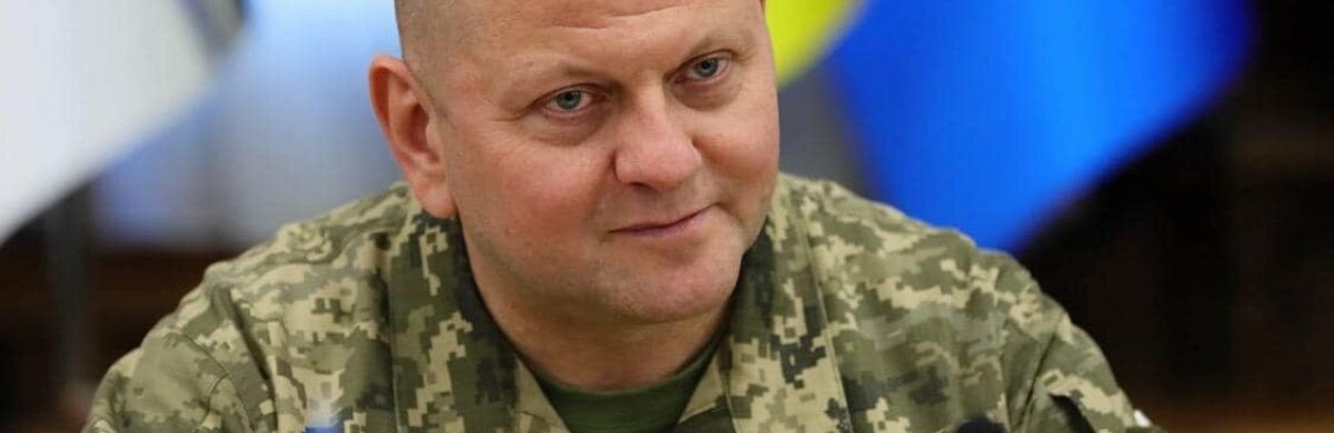 Не зупинимося, доки не виженемо вікового ворога з нашої землі, - Залужний