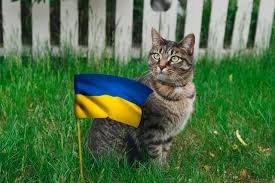 Де в Україні очікувати температуру повітря +20, а де +31: прогноз погоди на 21 липня
