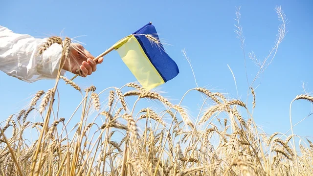 Закон, історія та мова: які нові умови пропонує Рада для набуття громадянства України 