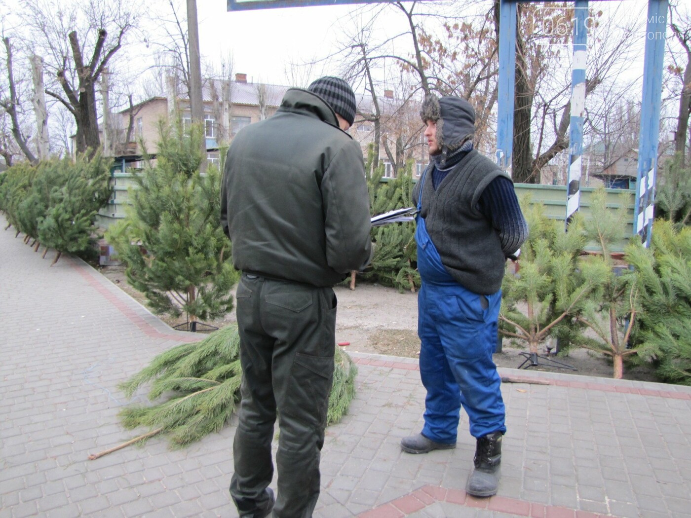 В Мелитополе реализаторы заплатят штраф за торговлю елками..., фото-2 В Мелитополе реализаторы заплатят штраф за торговлю елками в неустановленных местах, фото-2