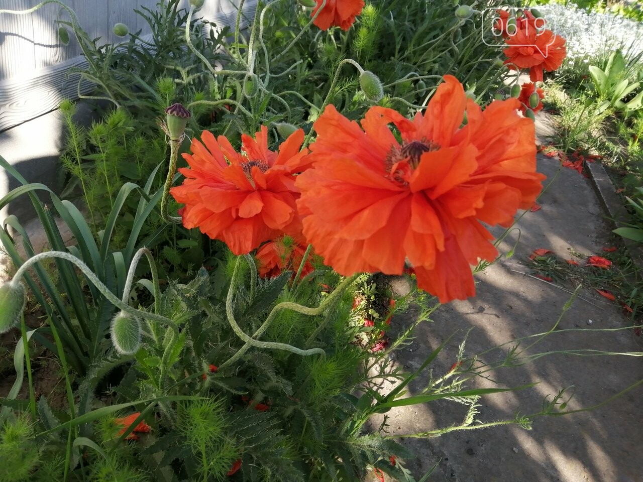 Фото сайта 0619