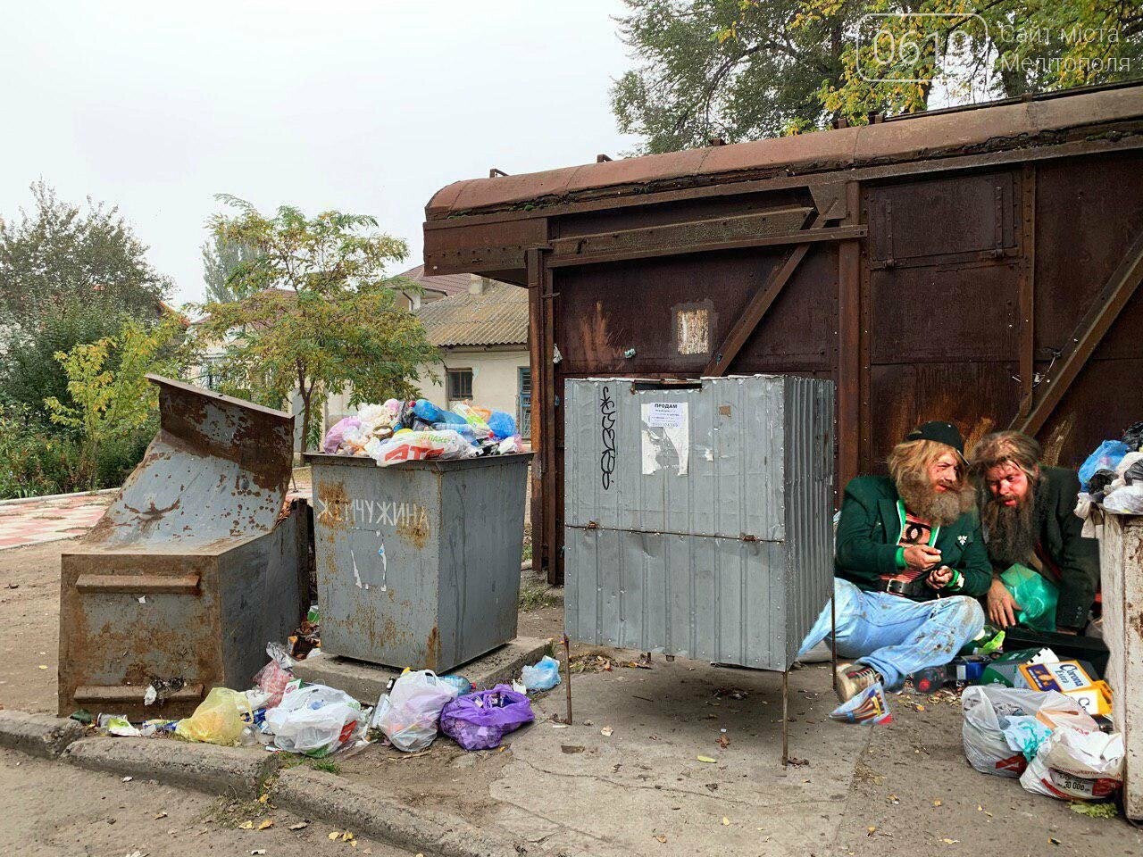 Бердянск в опасности! Обнаружены новые формы жизни! (фото), фото-6 Бердянск в опасности! Обнаружены новые формы жизни! (фото), фото-6