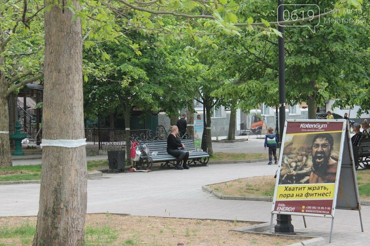 В Бердянске провели реставрацию скамей, фото-3 В Бердянске провели реставрацию скамей, фото-3