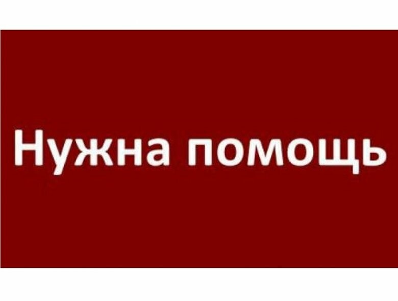 Срочно прямо. Нужна помощь. Нужна помощь надпись. Прошу помощи картинки.