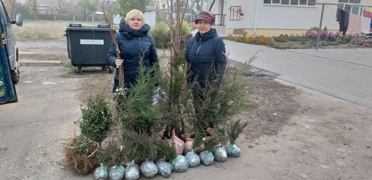 Фото А. Громыко