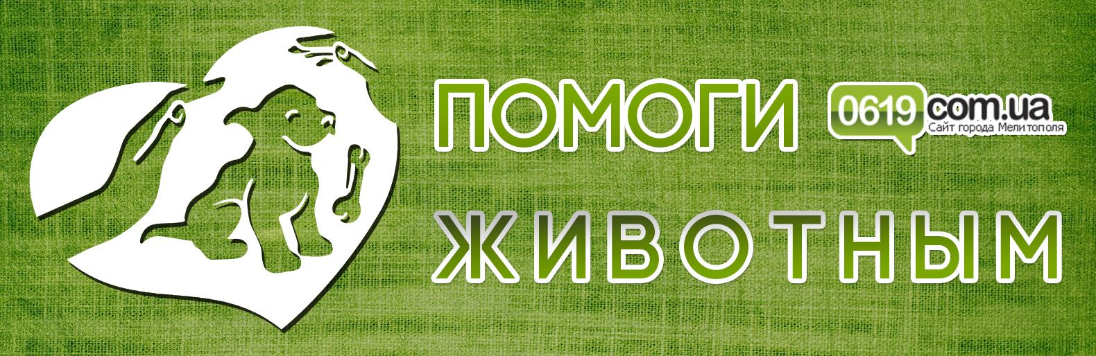 Подкидышам нужен дом Подкидышам нужен дом , Байбуза Виктория