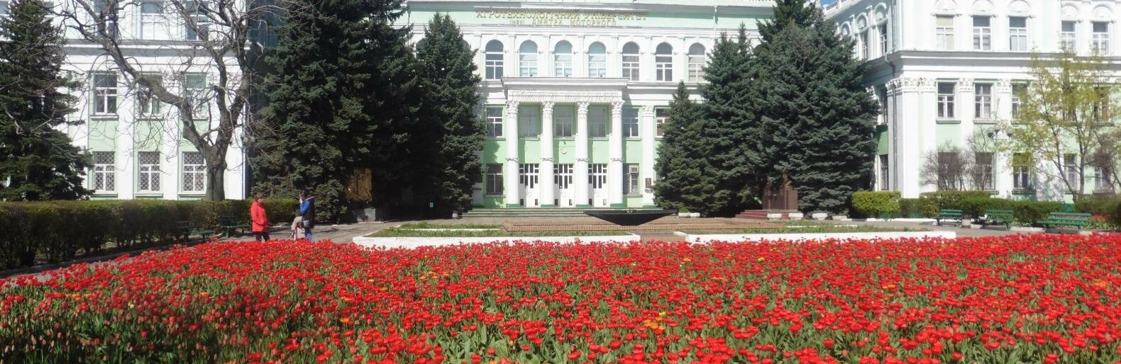 Море тюльпанов: в Мелитополе расцвела яркая фотозона Море тюльпанов: в Мелитополе расцвела яркая фотозона, Олеся Груснёва
