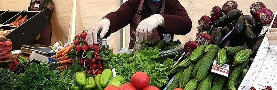 Сельскохозяйственные ярмарки в Мелитополе на 26 июня